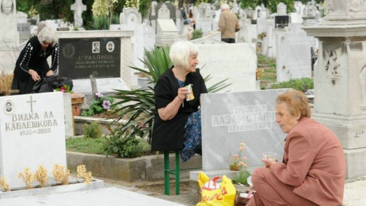 Снимка: Impact Press Group