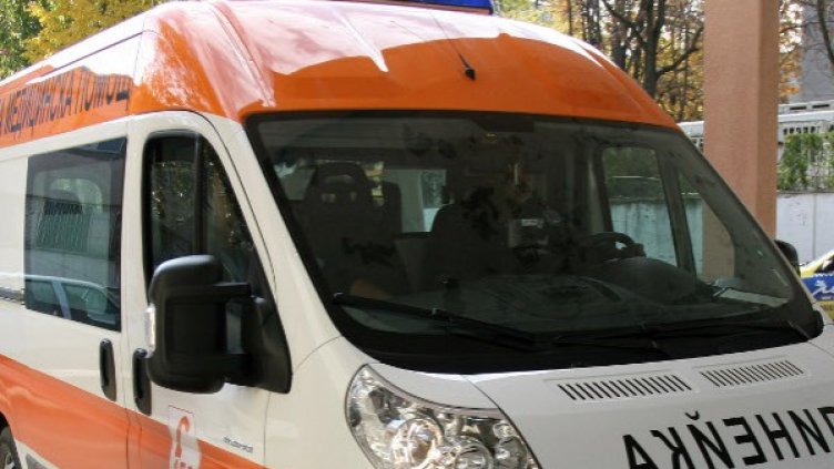 Снимка: Impact Press Group