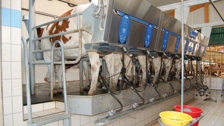 Снимка: Creative Commons