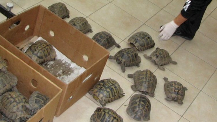 Снимка: Impact Press Group