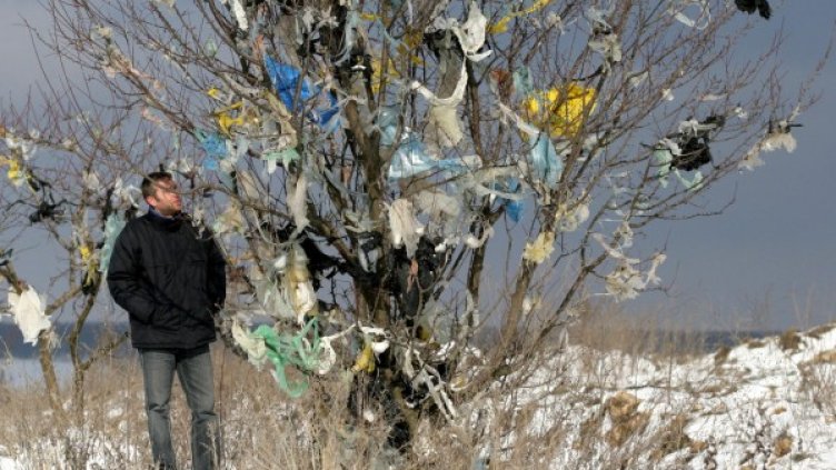 С торбички от 55 стотинки такава красота едва ли ще бъде постигната. Снимка: Impact Press Group