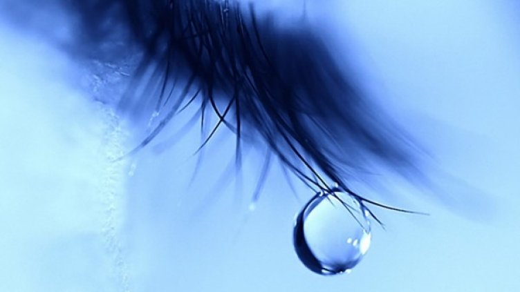 Снимка: Facebook