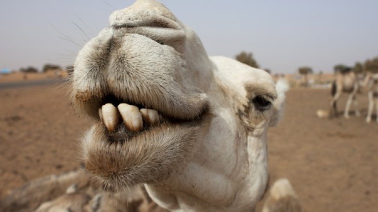 Снимка: Reuters