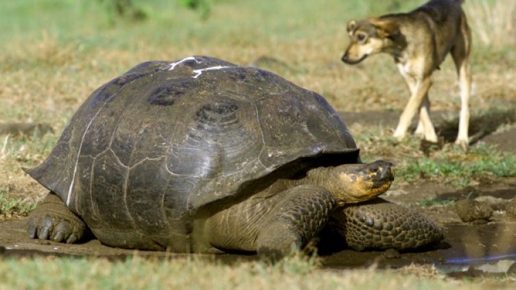 Никога не е късно за развод. Снимка: Reuters