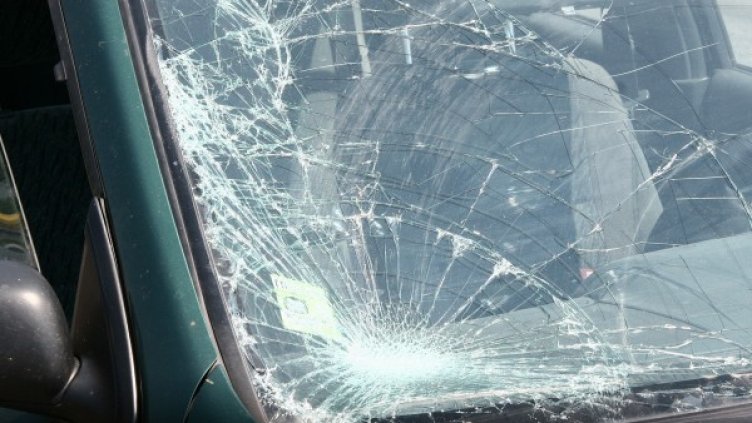 Снимка: Impact Press Group