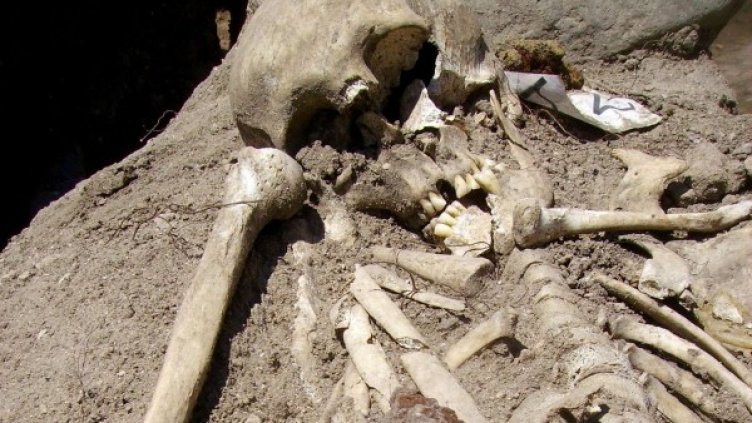 Скелетът на Созополския вампир може и да е на известен пират, плячкосвал венециански кораби. Снимка: Булфото