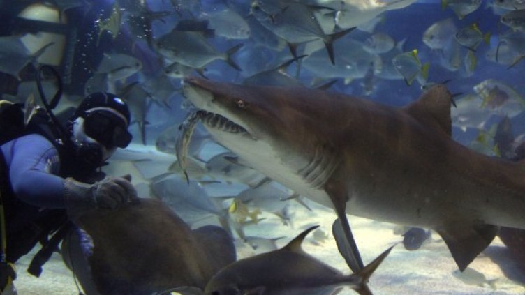 Снимка: Reuters