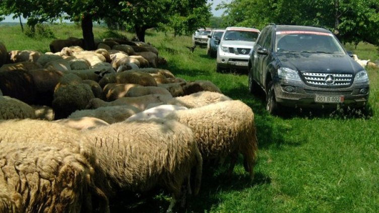 Снимка: Булфото