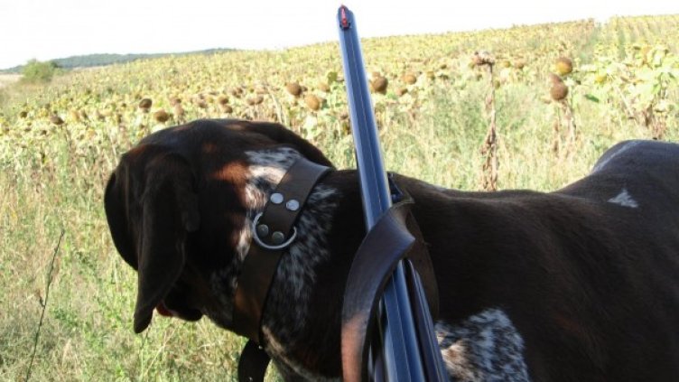 Снимка: Facebook