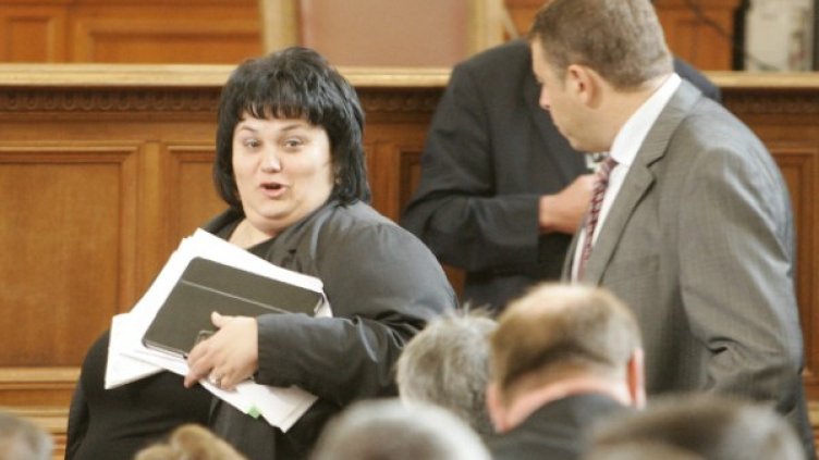 Фидосова призна, че това, което са предложили, не е най-доброто. Снимка: архив, БТА