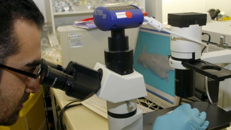 Снимка:Reuters