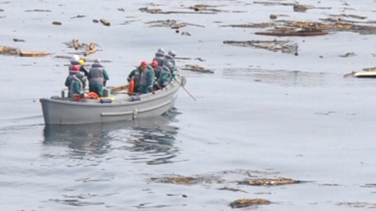 Океанът продължава да носи останки от къщите на разрушените от земетресението райони на Япония. Снимка: Reuters