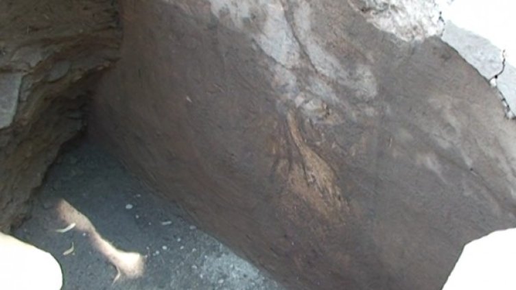 Част от стенописите по разкритата гробница. Снимка: Dnes.bg