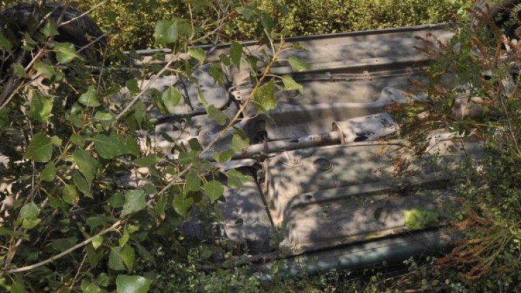 Снимка: архив Булфото