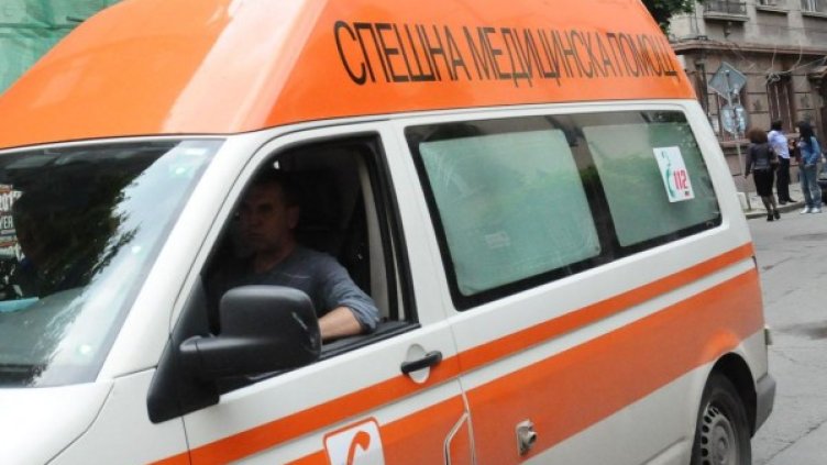 Снимка: Архив Булфото