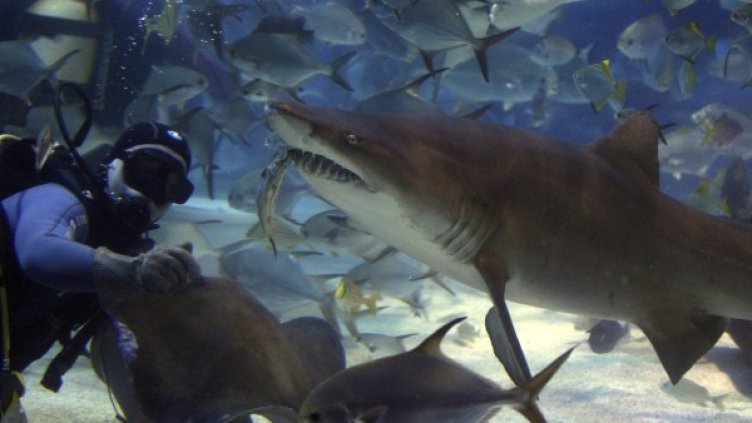 Снимка: Reuters