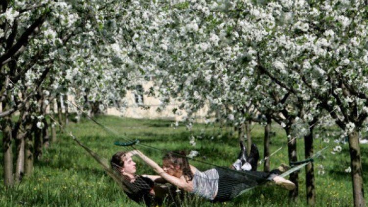 Оказва се, че ако искате стабилна връзка, трябва да спите в отделни легла. Снимка: архив, Reuters