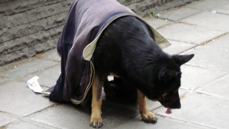 Снимка: архив, Булфото