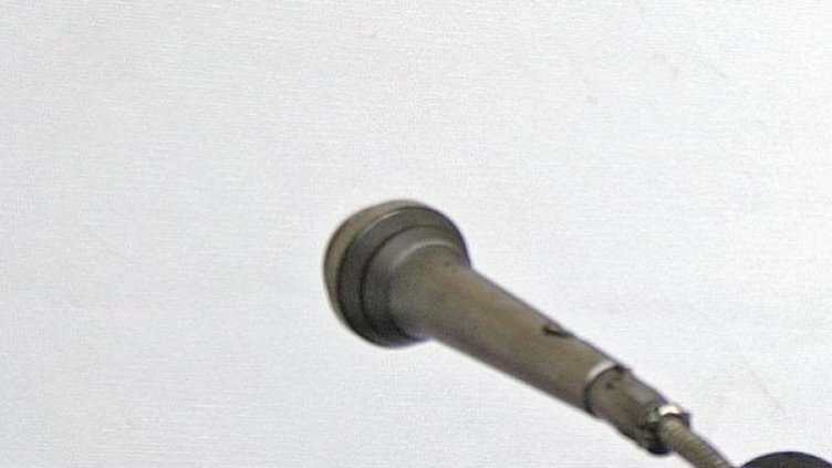 Микрофонът е ваш, тоест на депутатите. Снимка: архив, Булфото