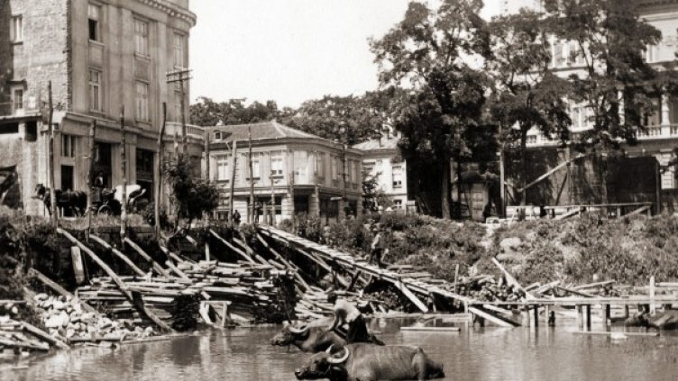 Пасторалната идилия продължава до царско време, а едно от най-любопитните доказателства за съжителство между добитък и софиянци е биволите, които се киснат в коритото на сегашната градинка „Кристал“ между Военния клуб и Военния театър. Снимка: Изгубената