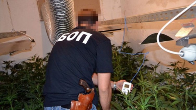 ГДБОП с акция в три града. Снимка: МВР