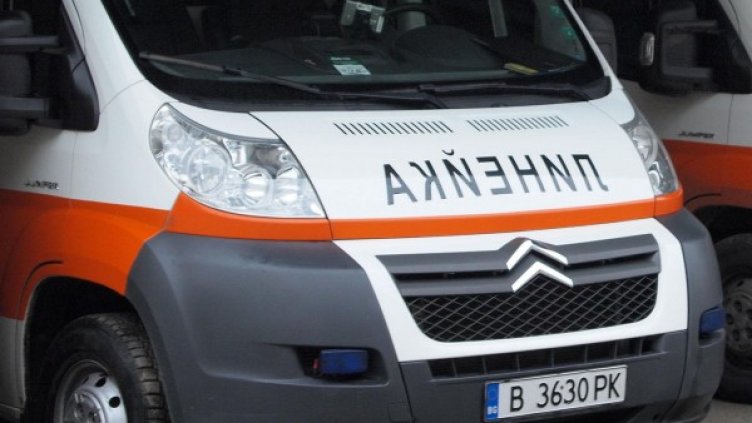 Снимка: Булфото