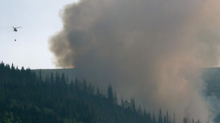 Два хеликоптера участват в гасенето на пожара, възникнал в резервата "Бистришко бранище" на Витоша. Снимка: БТА