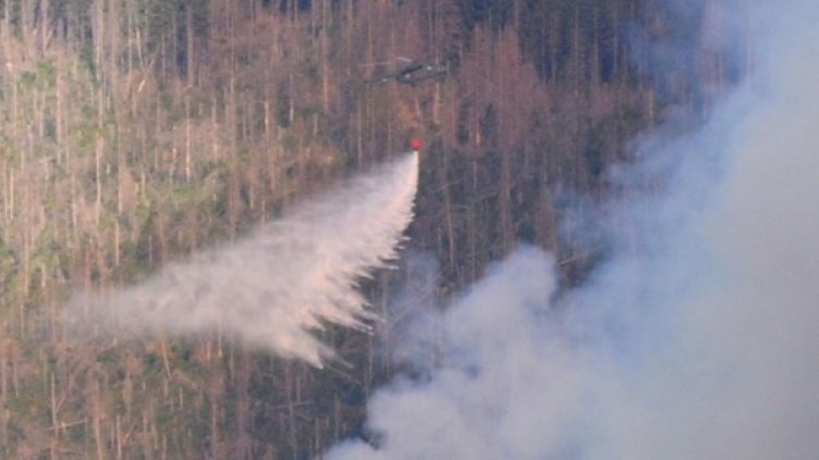 Борбата с огнената стихия продължава. Снимка: Булфото