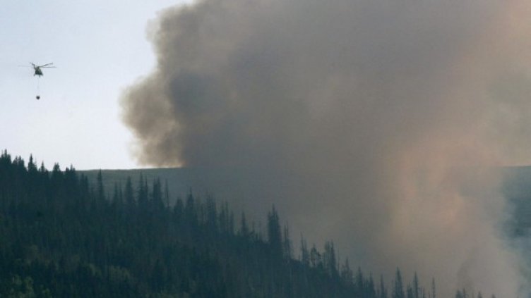 Борбата с огъня продължава втори ден. Снимка: БТА