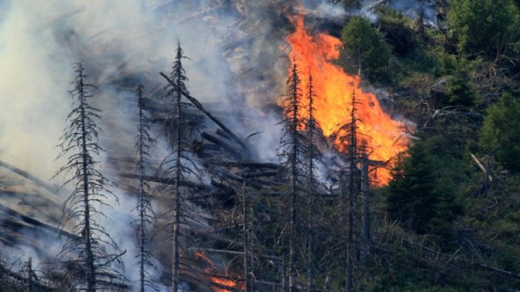 Борбата с огнената стихия продължава. Снимка: Impact Press Group