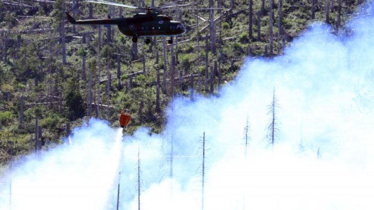 Огнената стихия вече е засегнала 150 дка. Снимка: Impact Press Group