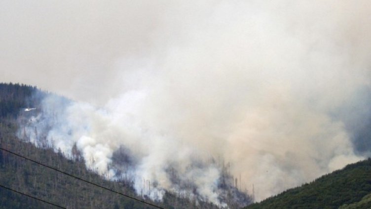 Пожарът на Витоша на стихва. Снимка: Булфото