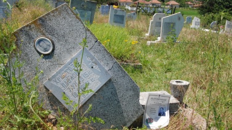 Снимка: Пламен Гутинов