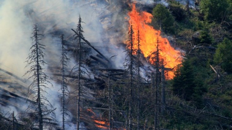 Снимка: Impact Press Group