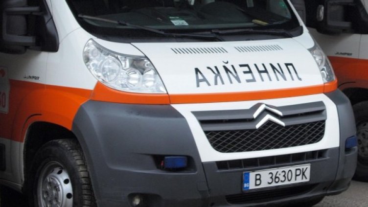 Снимка: Булфото