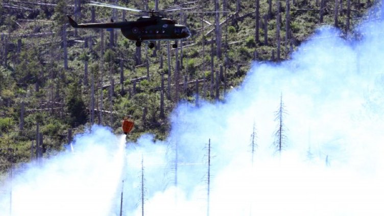 Снимка: Impact Press Group