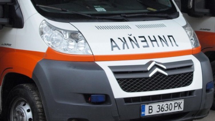 Снимка: Булфото