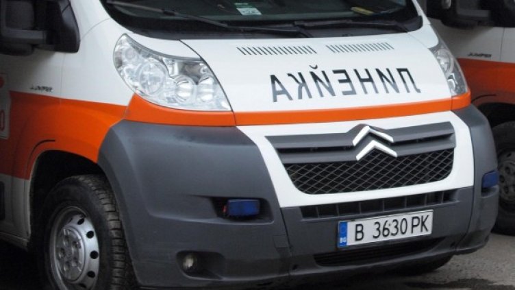 Снимка: Булфото