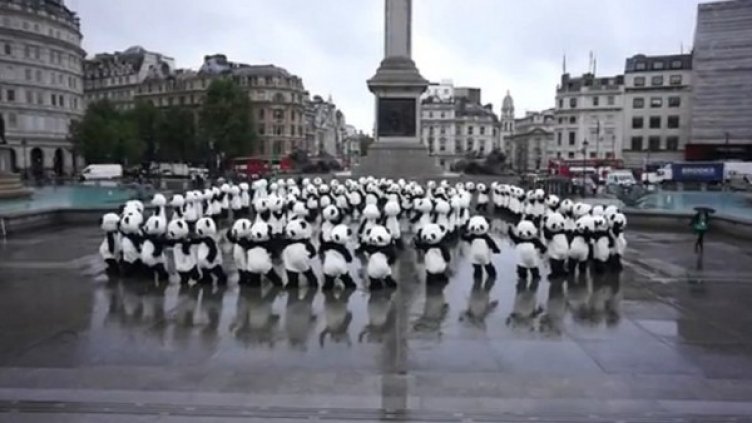 Пандите танцуват в центара на Лондон. Снимка: YouTube
