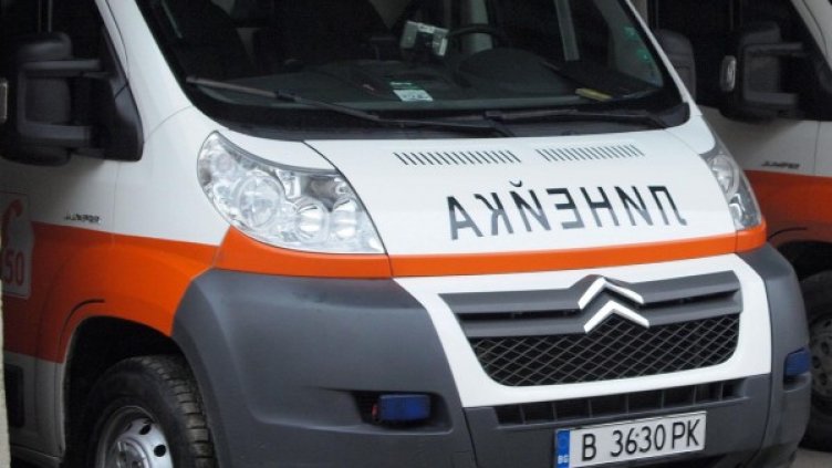 Снимка: архив Булфото