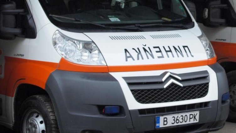 Снимка: Булфото