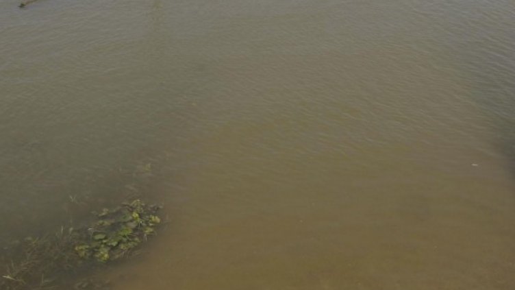 Снимка: архив, Булфото