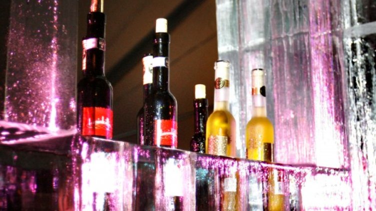 Не посягай към тях, зоват учените. Снимка: Reuters