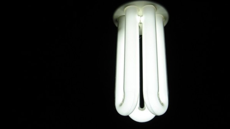 Снимка: sxc.hu