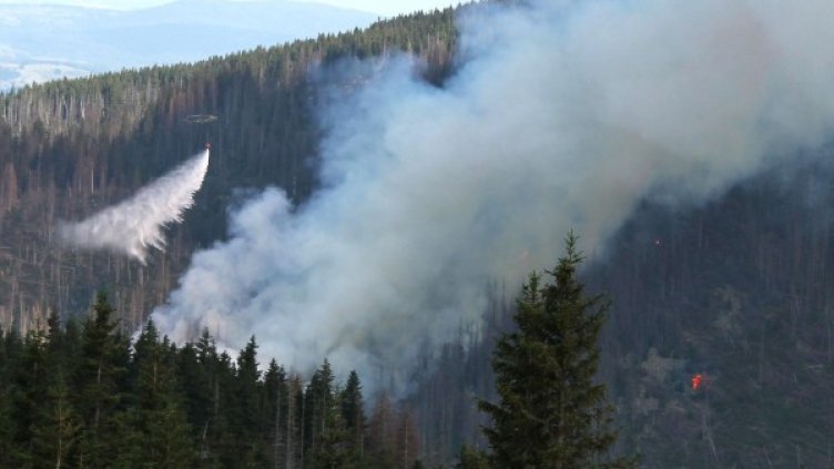 Снимка: Bulphoto