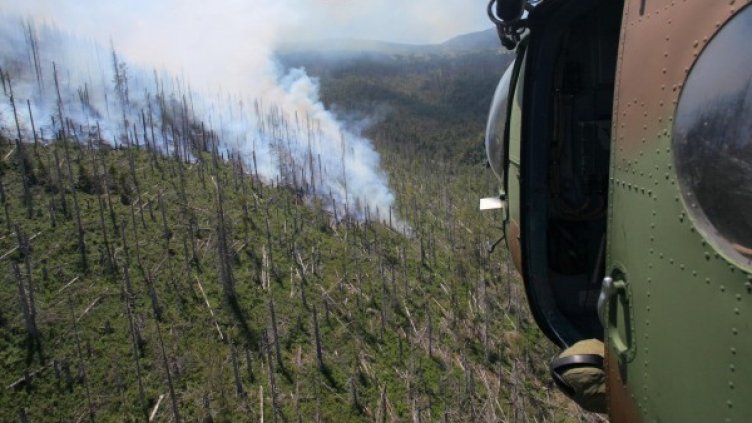 Снимка: Архив Булфото