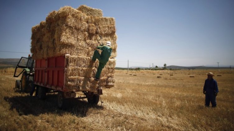 1200 българи са заминали  в Испания за 6 месеца. Снимка: Reuters
