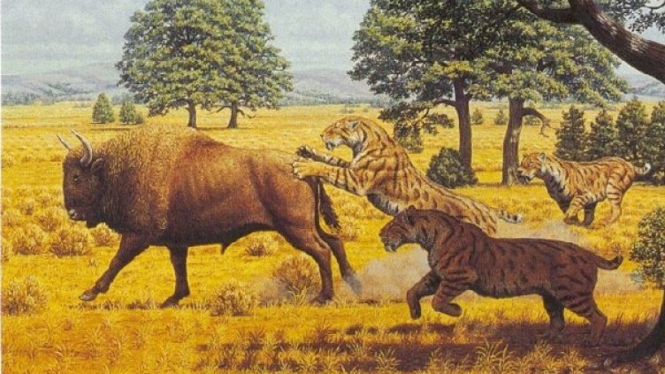 Снимка: National Geographic