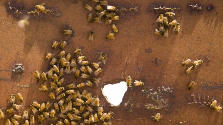 Снимка: Reuters