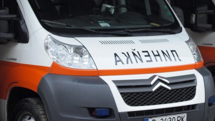 Снимка: Булфото